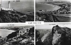 CAP FALCON  (38)